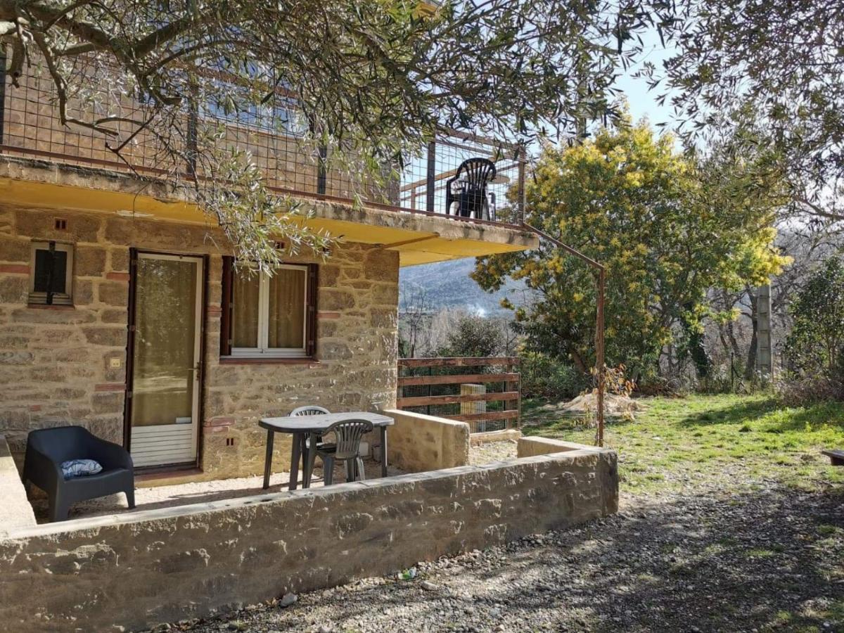 Appartamento Les Pierres De La Massane - Vue sur les Albères Argelès-sur-Mer Esterno foto