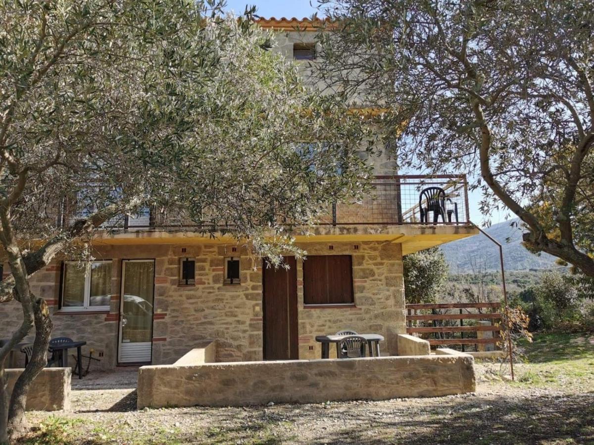 Appartamento Les Pierres De La Massane - Vue sur les Albères Argelès-sur-Mer Esterno foto