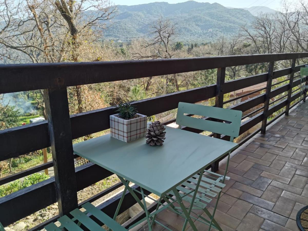 Appartamento Les Pierres De La Massane - Vue sur les Albères Argelès-sur-Mer Esterno foto