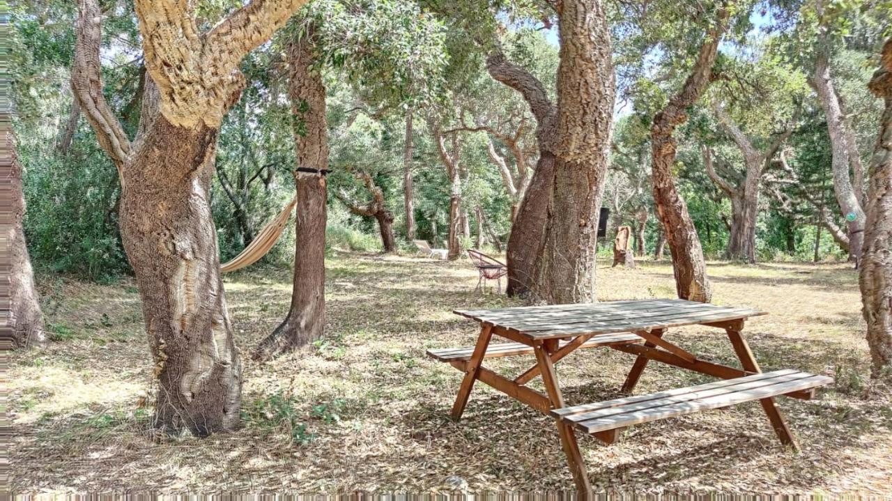 Appartamento Les Pierres De La Massane - Vue sur les Albères Argelès-sur-Mer Esterno foto
