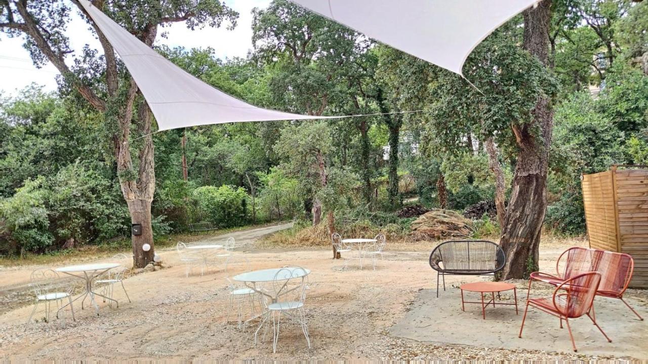 Appartamento Les Pierres De La Massane - Vue sur les Albères Argelès-sur-Mer Esterno foto